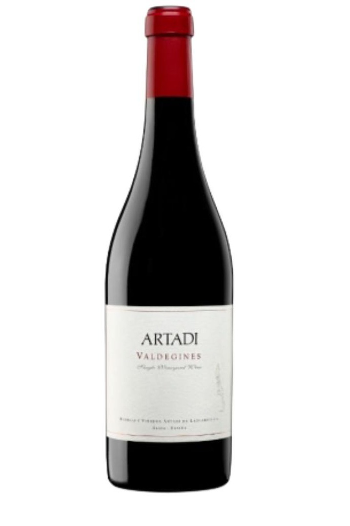 ARTADI VALDEGINES