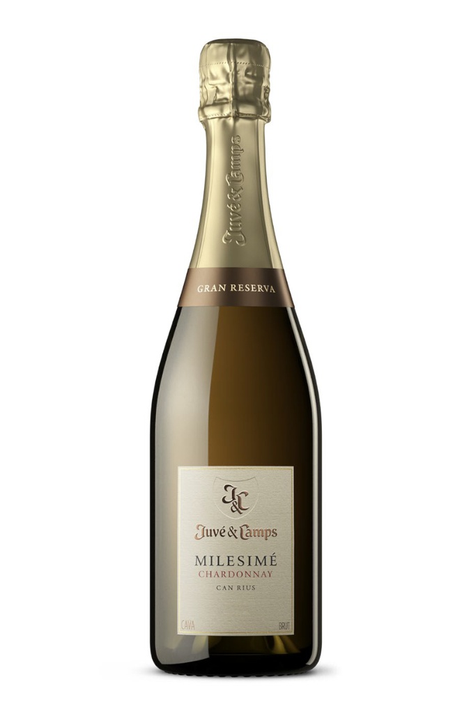 JUVÉ & CAMPS MILESIMÉ CHARDONNAY GRAN RESERVA BRUT