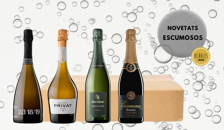 BUBBLES BOX: NOVEDADES