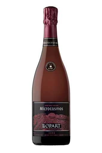 LLOPART MICROCOSMOS ROSAT NATURE