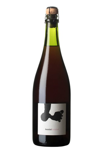 [35615.2021] JOAN RUBIO ANCESTRAL MONASTRELL