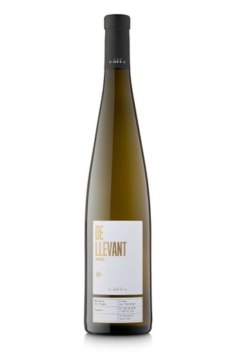 [42551.2023] U MES U VI DE LLEVANT MALVASIA