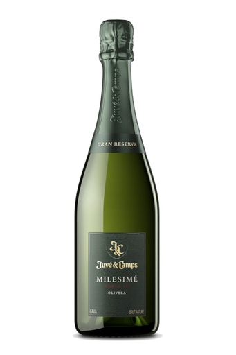 [351351] JUVÉ & CAMPS MILESIMÉ XAREL·LO GRAN RESERVA NATURE