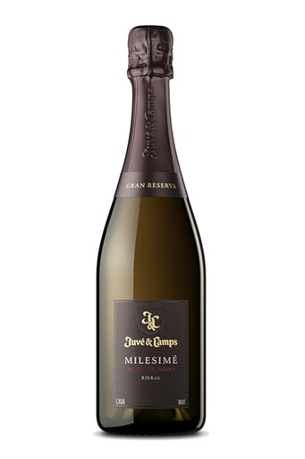 [351111] JUVÉ & CAMPS MILESIMÉ BLANC DE NOIRS GR. RVA BRUT