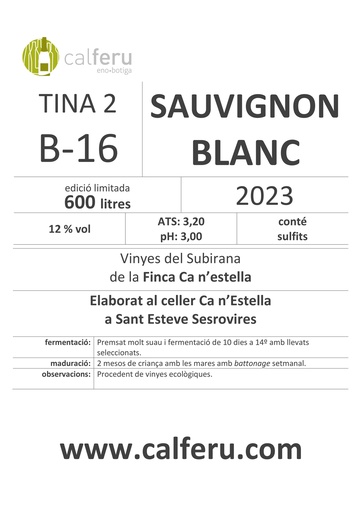 B16 VINO BLANCO SAUVIGNON BLANC A GRANEL