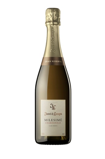 [351081] JUVÉ & CAMPS MILESIMÉ CHARDONNAY GRAN RESERVA BRUT